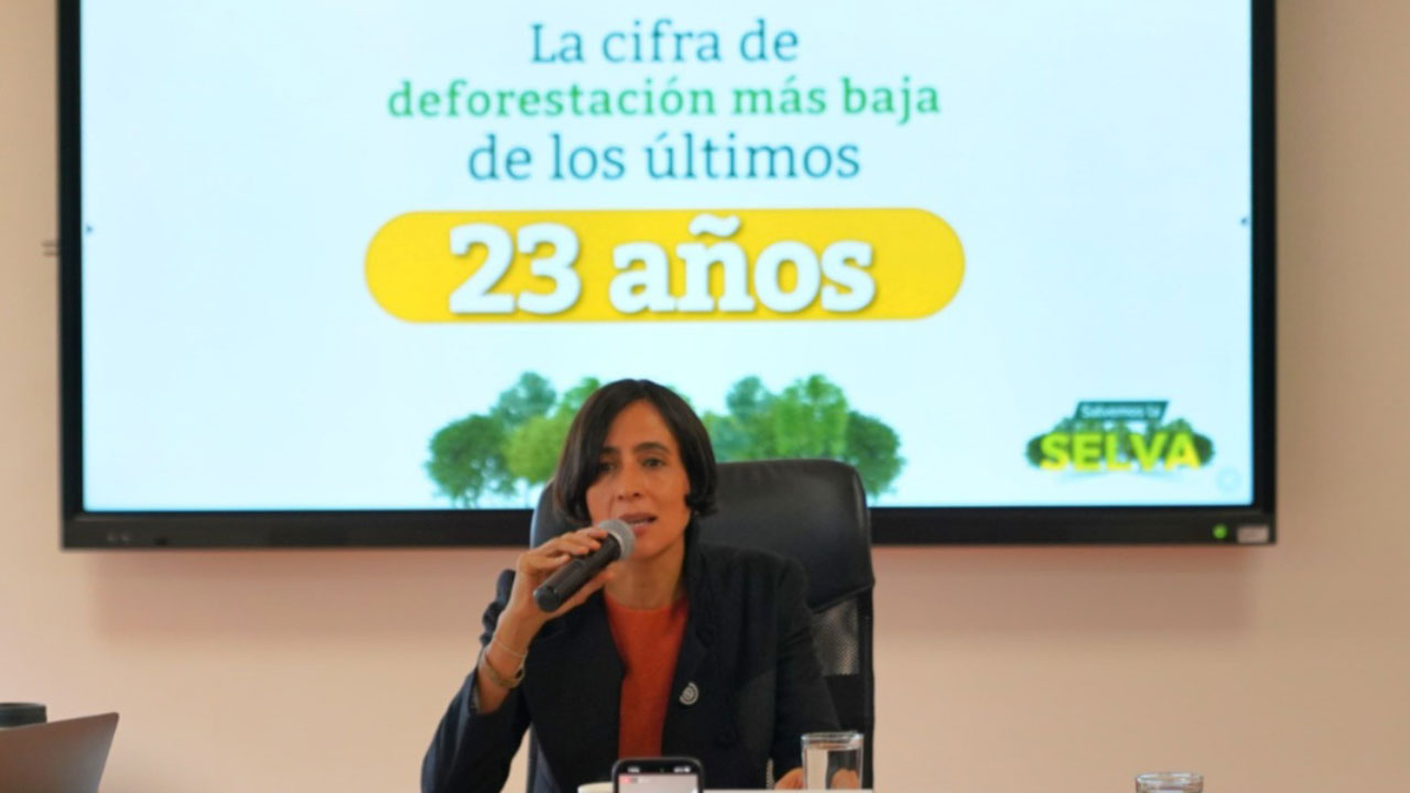Con la reducción del 36% en la deforestación durante 2023, El Gobierno supera la meta propuesta en el Plan Nacional de Desarroll