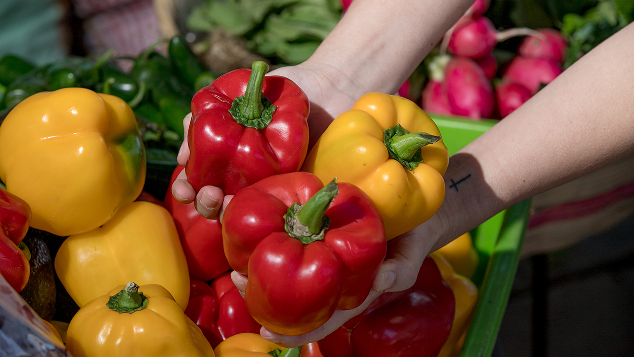 Un crecimiento de 10 ,2 por ciento registró el sector de Agricultura, ganadería, caza, silvicultura y pesca en el crecimiento de