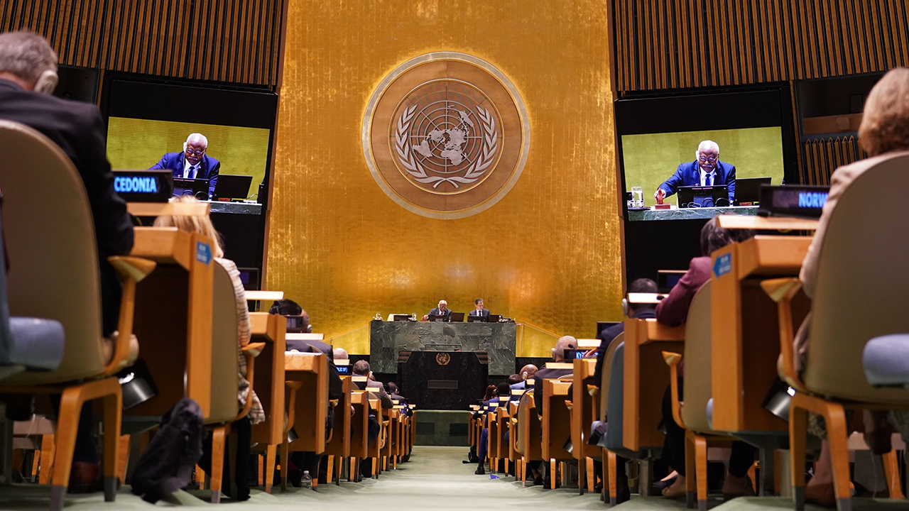 Consejo de Derechos Humanos de las Naciones Unidas