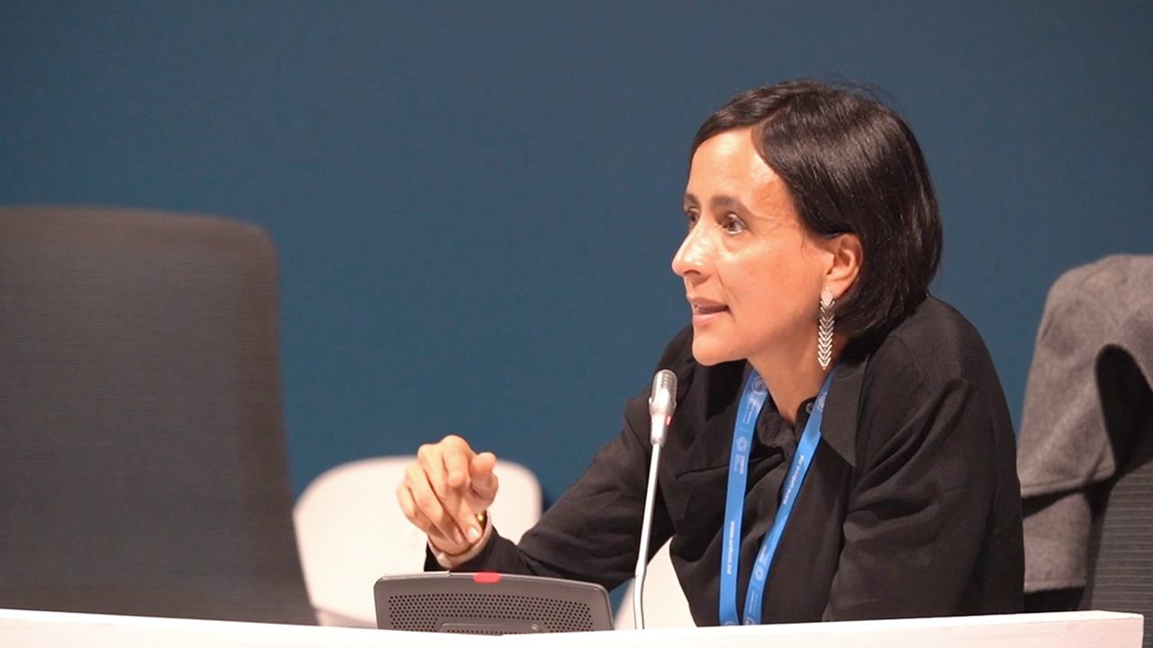 Al intervenir en el 6º Diálogo Ministerial en Finanzas Climáticas, realizado en el marco de la COP29 de cambio climático en Bakú