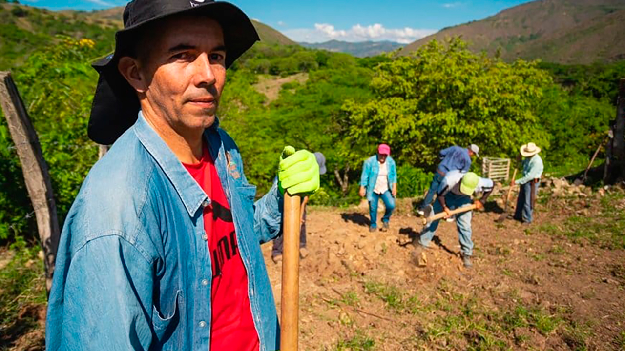 Mediante las normas de excepción el Gobierno faculta a las entidades de crédito del sector agropecuario para que adopten program