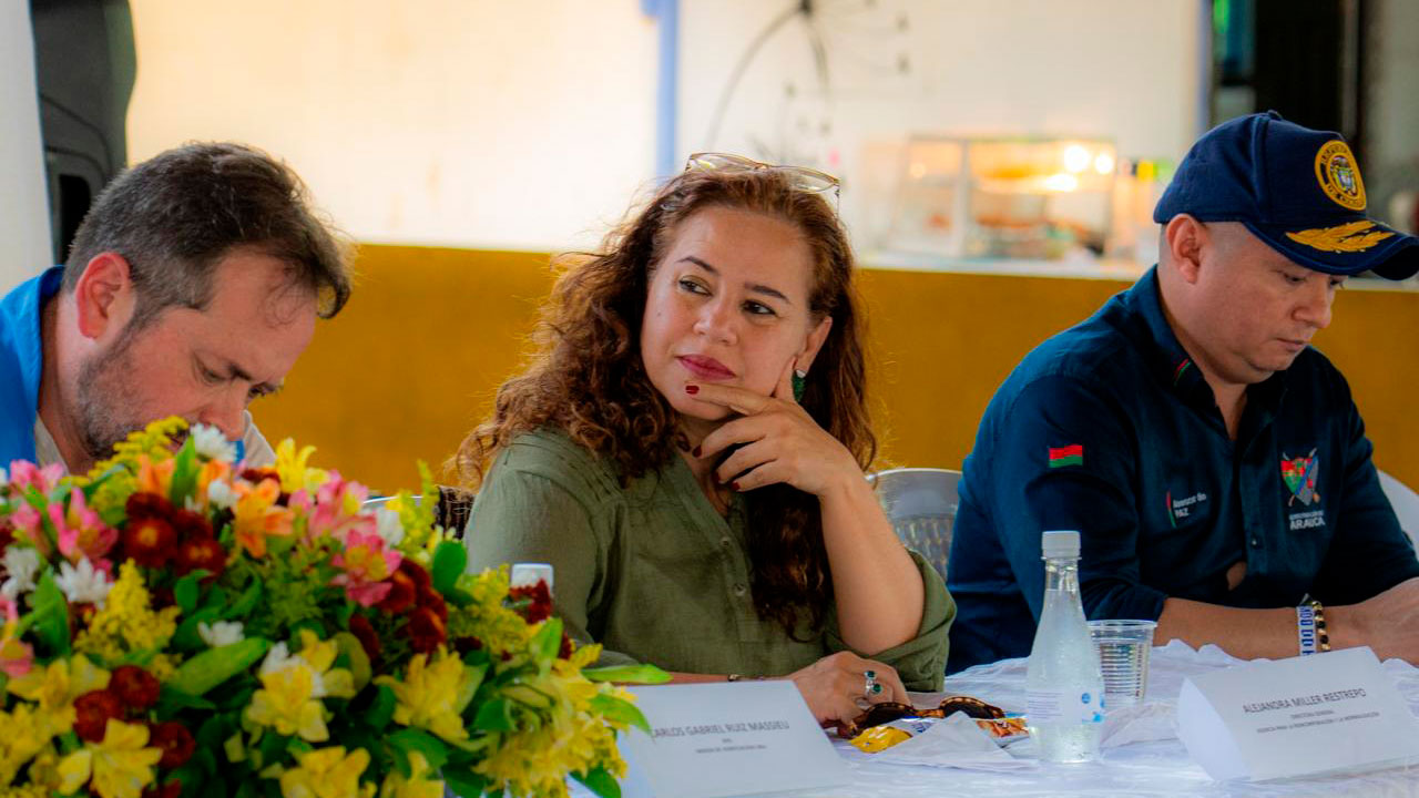 Alejandra Miller, directora de la Agencia para la Reincorporación y la Normalización.