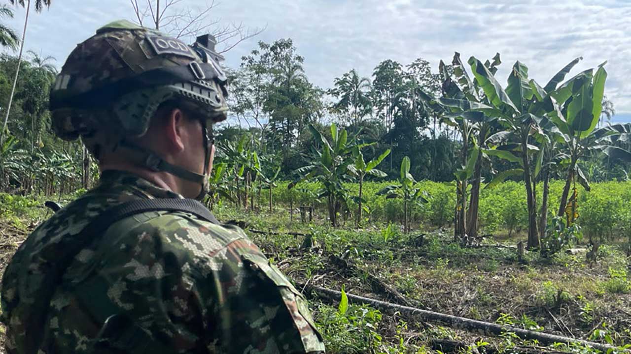 Zonas como el Catatumbo han permitido el desarrollo de planes piloto dentro de enfoques más avanzados en la lucha contra el narc